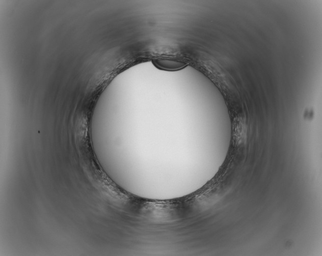 X0000089390713200706221318