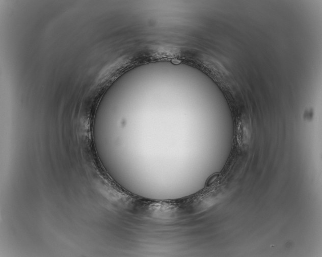 X0000089390714200706221318