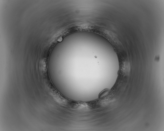 X0000089390715200706221318