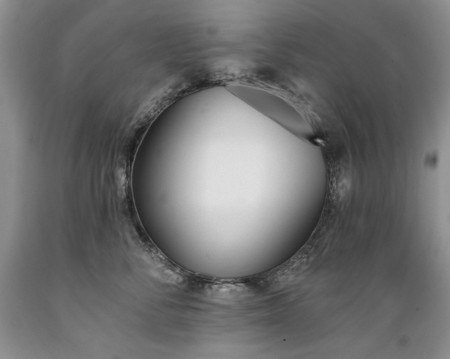 X0000089390716200706221318