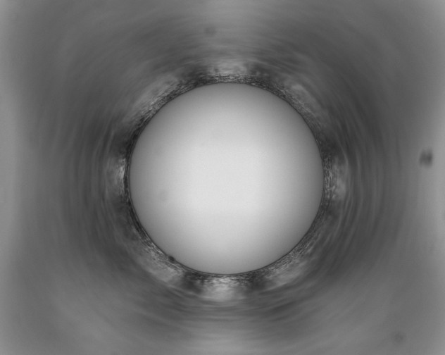 X0000089390717200706221318