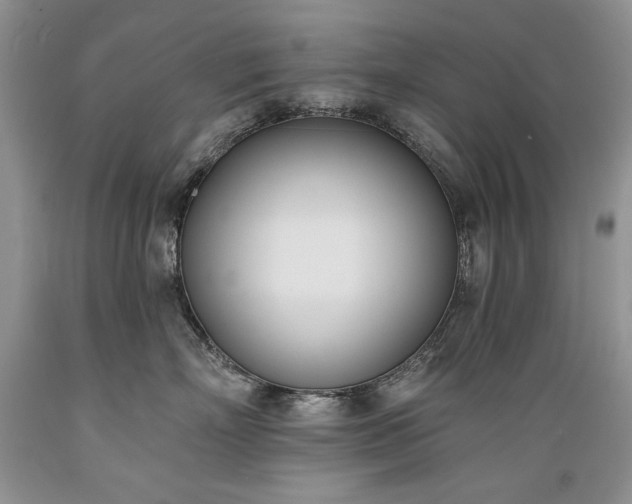 X0000089390718200706221318