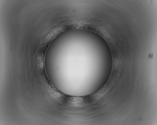 X0000089390719200706221318