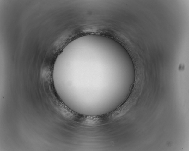 X0000089390720200706221318