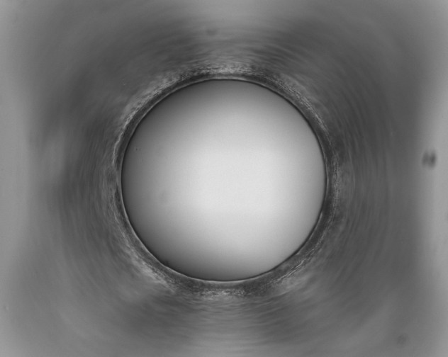 X0000089390721200706221317