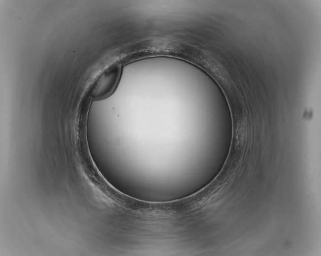 X0000089390722200706221317