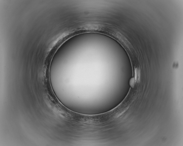 X0000089390723200706221317