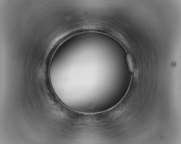 X0000089390724200706221317