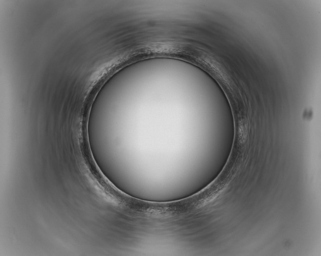 X0000089390725200706221317