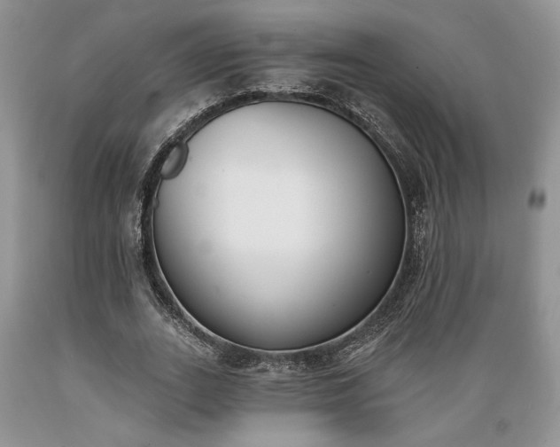 X0000089390727200706221317