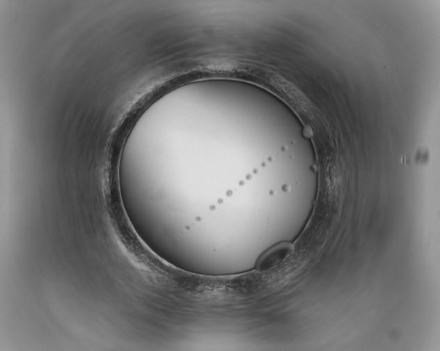 X0000089390728200706221317