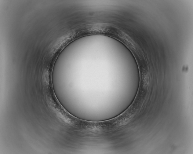 X0000089390729200706221317