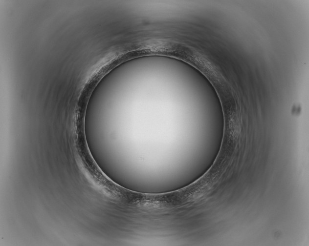 X0000089390730200706221317