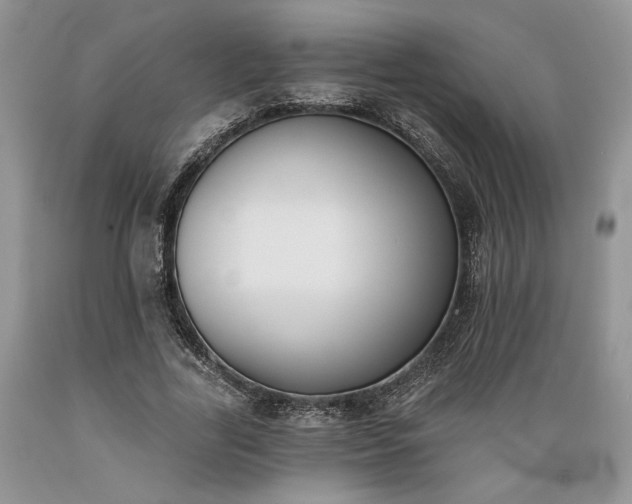 X0000089390731200706221317