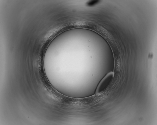 X0000089390732200706221317