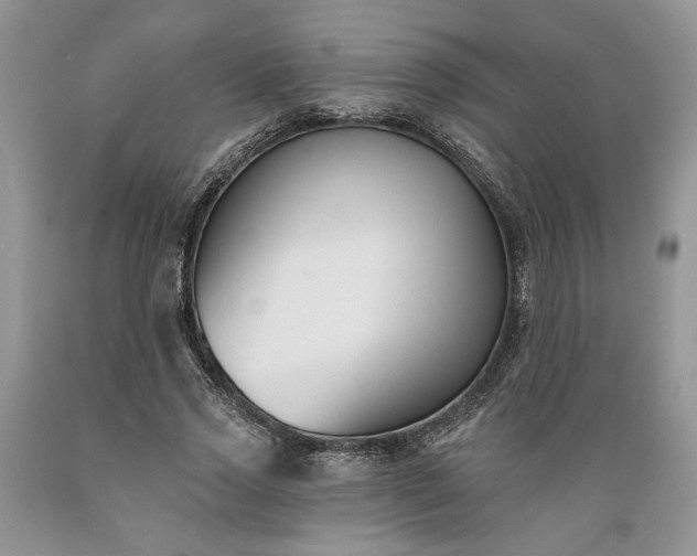 X0000089390733200706221317