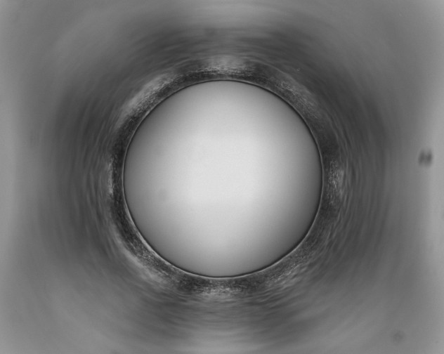 X0000089390734200706221317