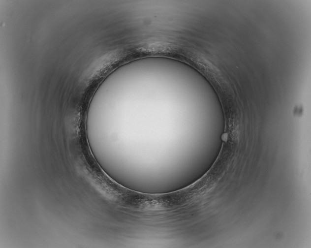 X0000089390735200706221317