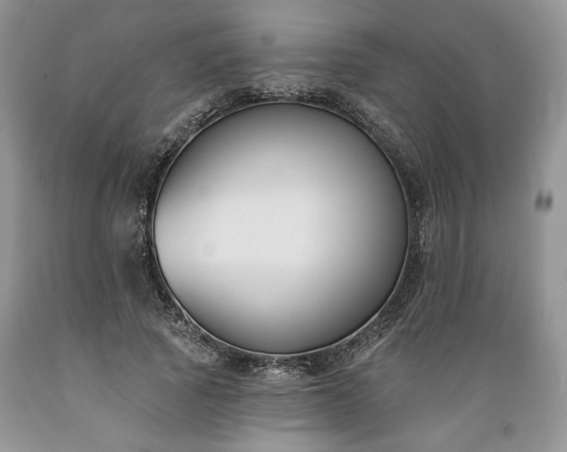 X0000089390737200706221317