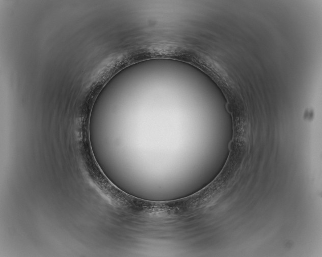 X0000089390738200706221317