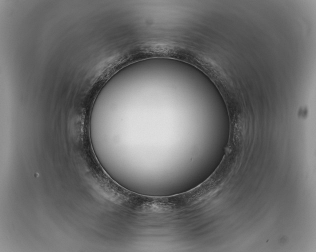 X0000089390739200706221317