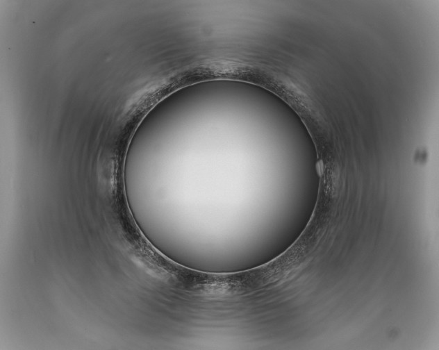 X0000089390740200706221317
