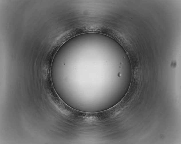 X0000089390741200706221317