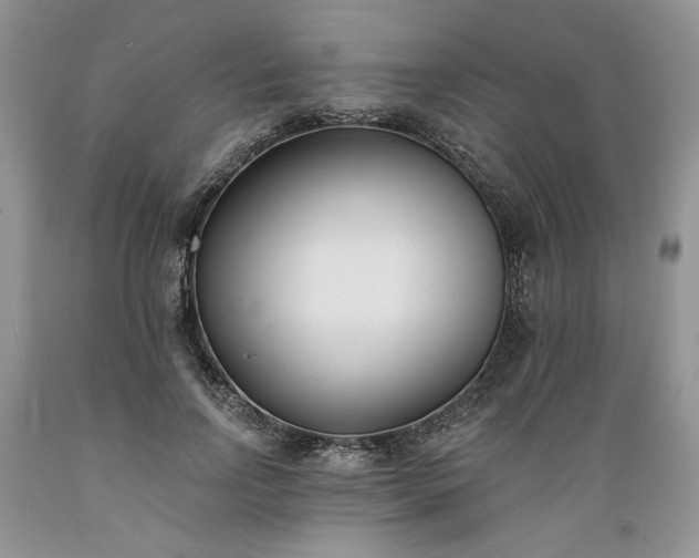 X0000089390742200706221317