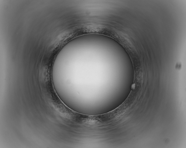 X0000089390743200706221317