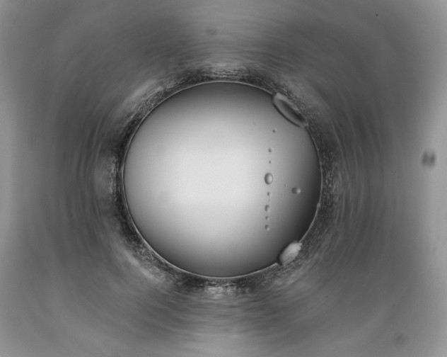 X0000089390744200706221317
