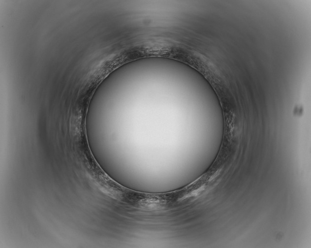 X0000089390745200706221318