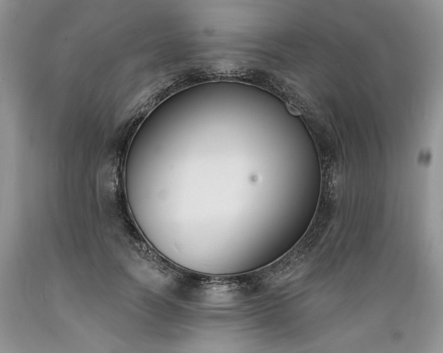 X0000089390746200706221318