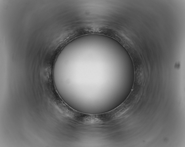 X0000089390747200706221318