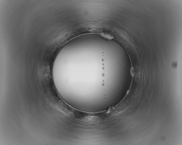 X0000089390748200706221318