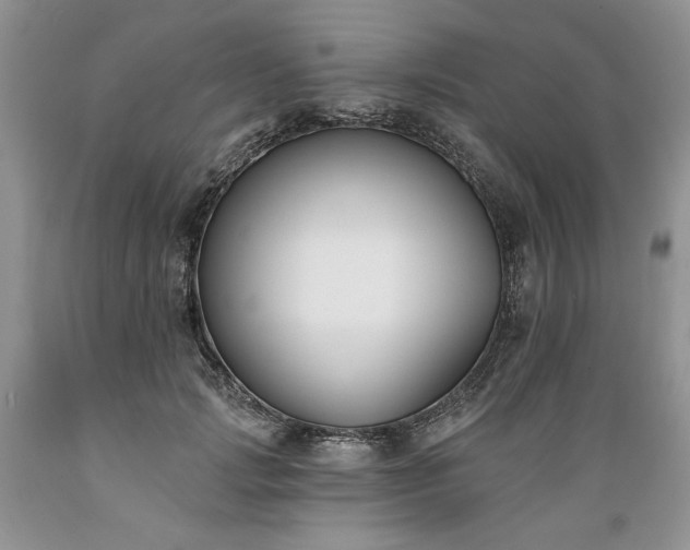 X0000089390749200706221318