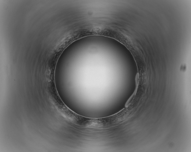 X0000089390750200706221318