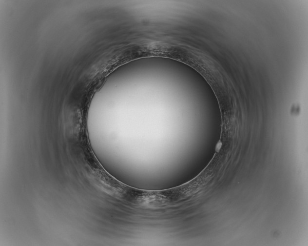 X0000089390752200706221318