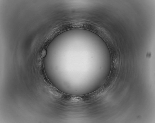 X0000089390753200706221318