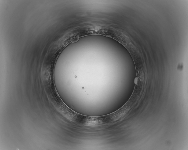 X0000089390754200706221318