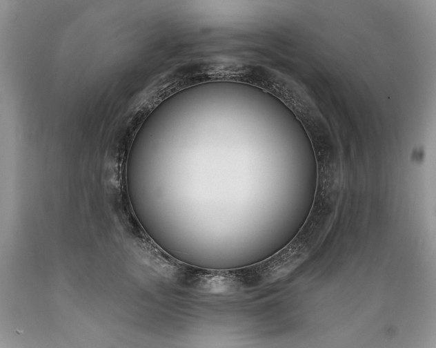 X0000089390755200706221318