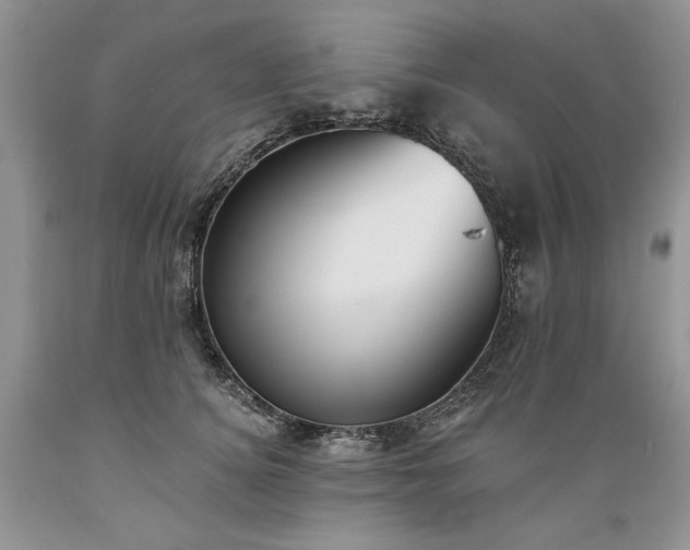 X0000089390756200706221318