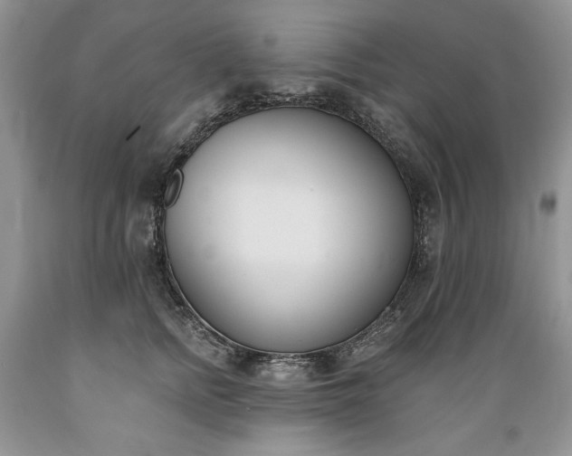 X0000089390758200706221318