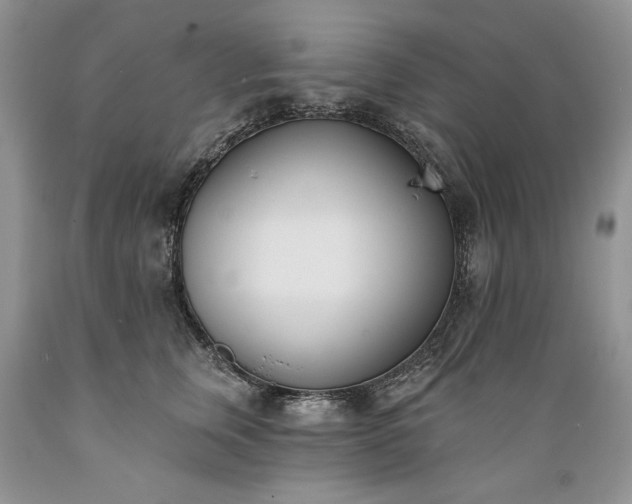 X0000089390759200706221318