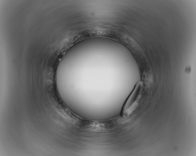 X0000089390760200706221318