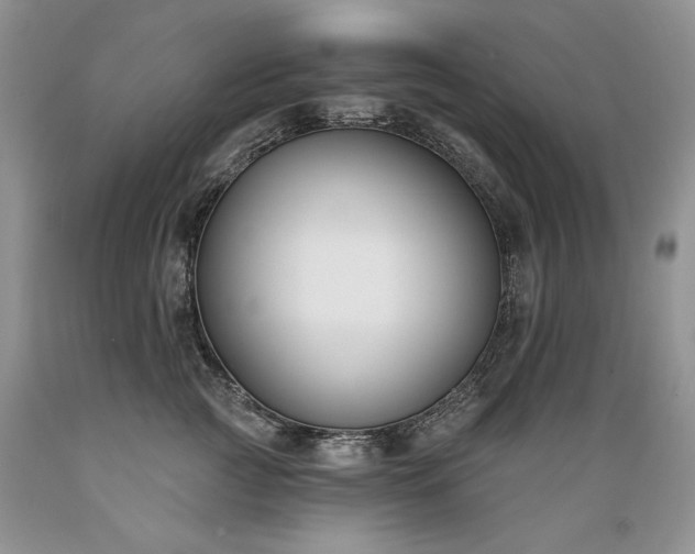 X0000089390761200706221318