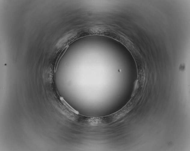 X0000089390762200706221318