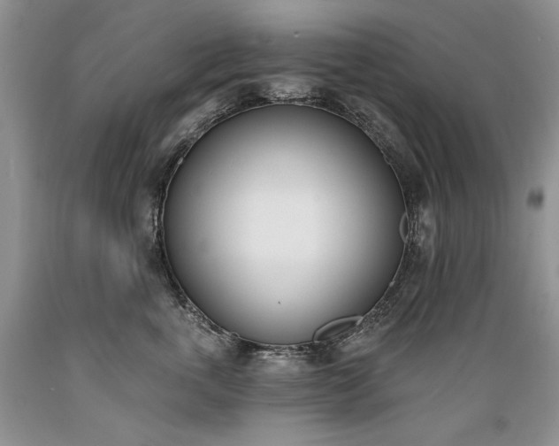 X0000089390763200706221318