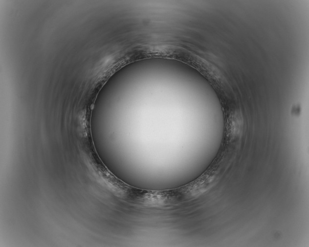 X0000089390764200706221318