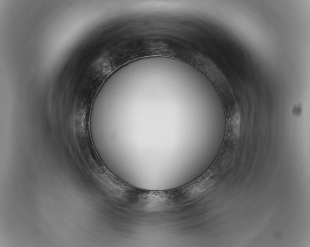 X0000089390765200706221318