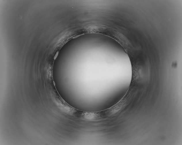 X0000089390766200706221318